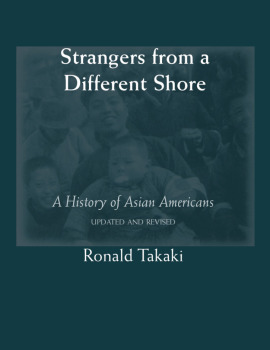 a different mirror a history of multicultural america revised edition