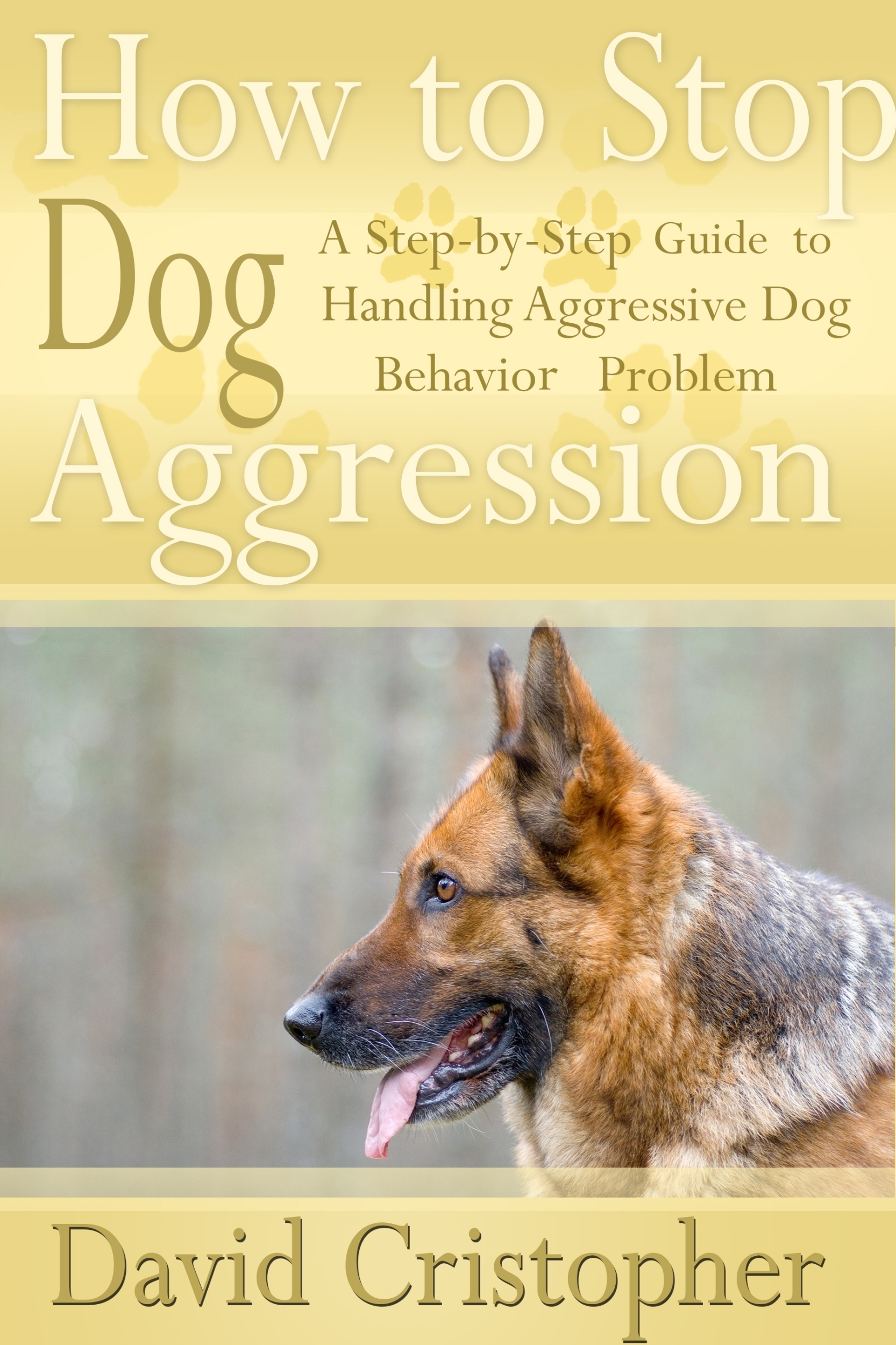 Bookstore How to Stop Dog Aggression A StepByStep Guide to Handling Aggressive