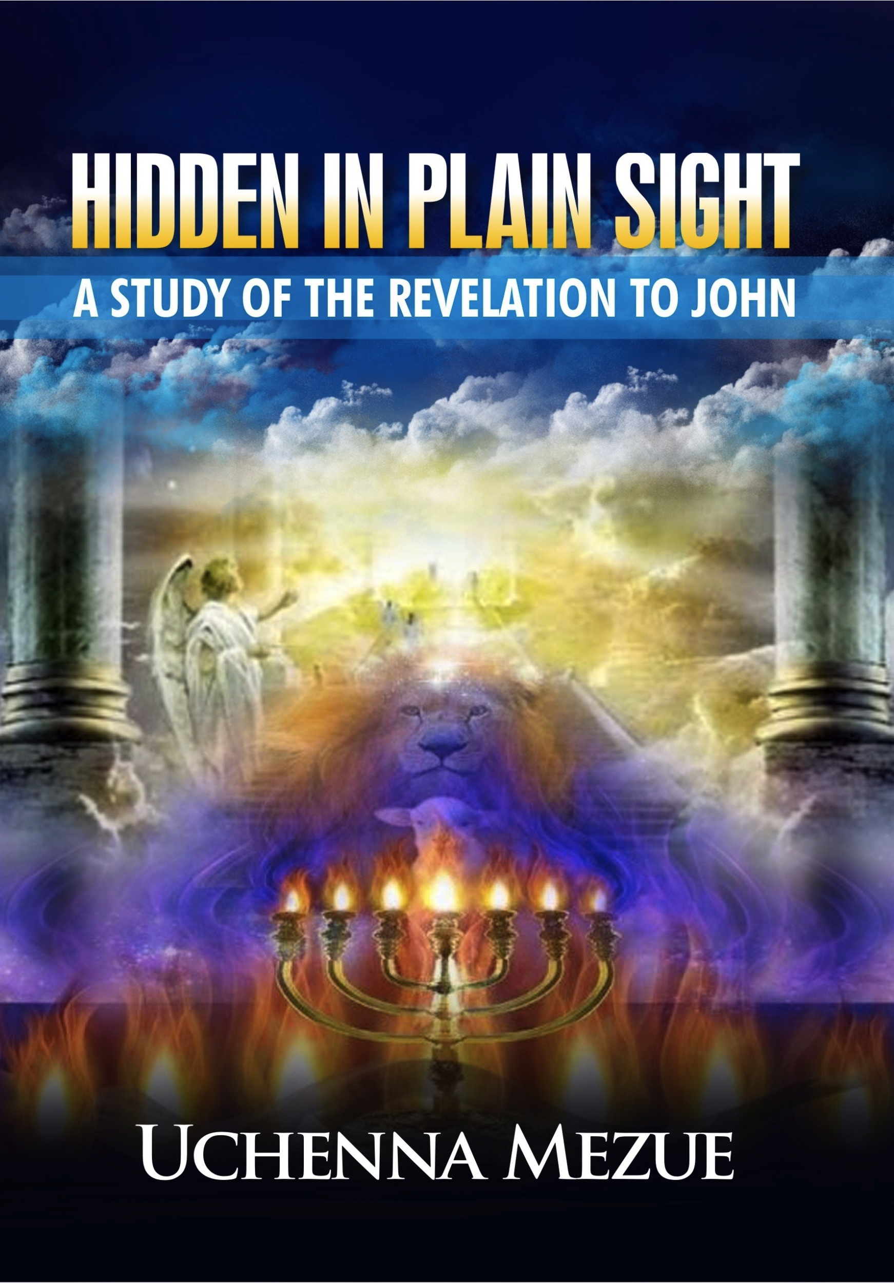 Ebookit Com Bookstore Hidden In Plain Sight A Study Of The Revelation To John